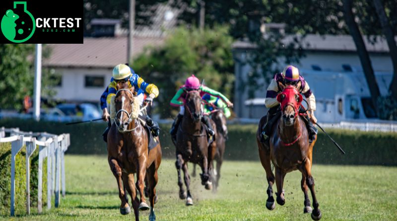 Fidele Turf
