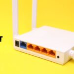 Internet Chicks